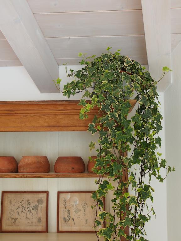 Casa Del Pittore Роверето Екстериор снимка